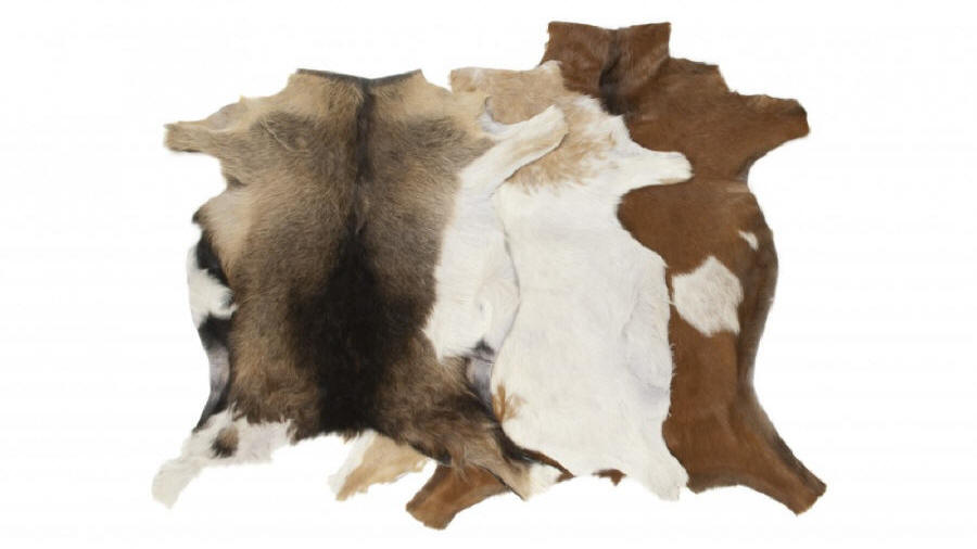 báránybőr cserzőgyár természetes báránybőr szőnyegek nagykereskedője Lengyelország 10